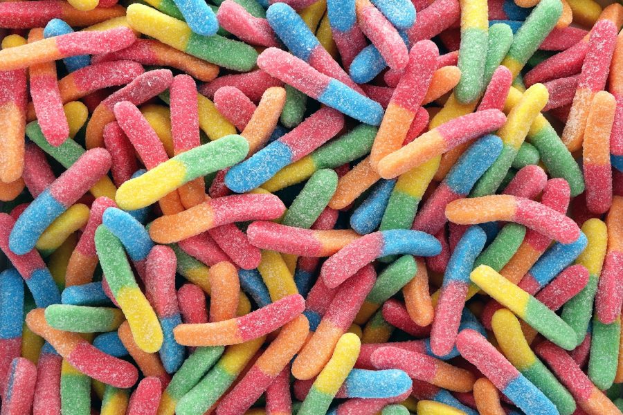 multicolored candy worms